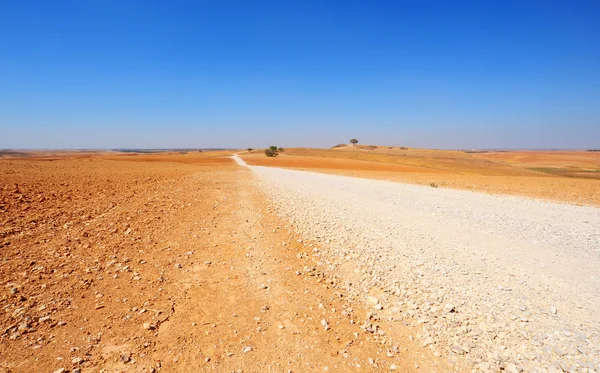 Одинокая дорога — стоковое фото
