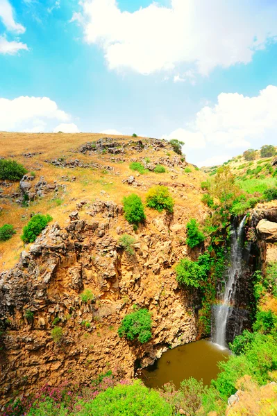 stock image Waterfall.