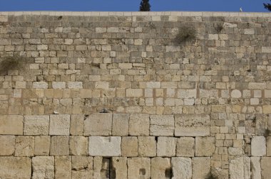 Western wall.