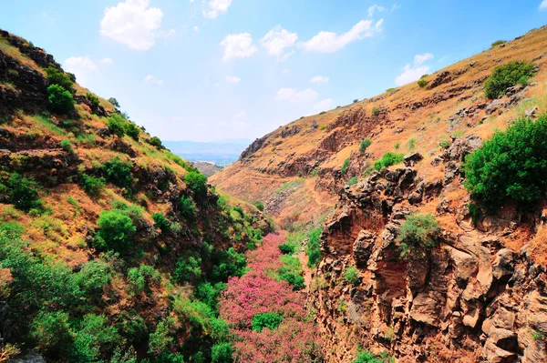 Golan-hoogte — Stockfoto