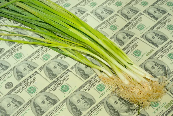 Spring Onions. — Stock Photo, Image