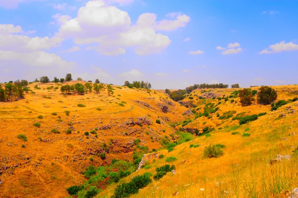 Golan wysokość — Zdjęcie stockowe