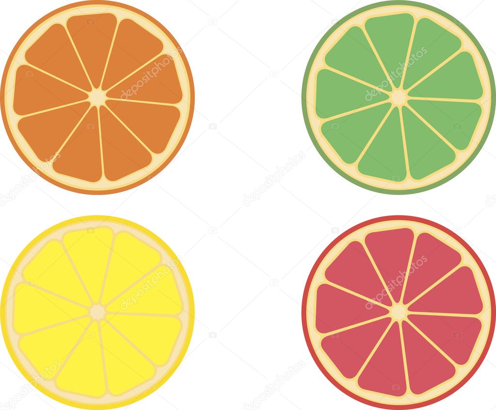 Citrus fruits — Stock Vector © svinka #1035185