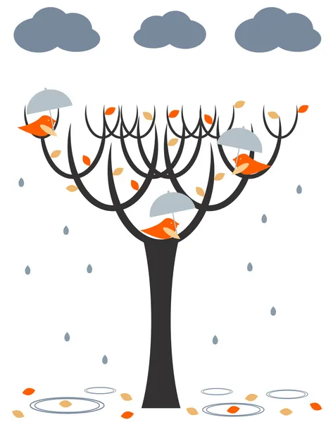Βροχή πουλιά — Διανυσματικό Αρχείο