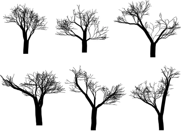 Дерева — стоковий вектор