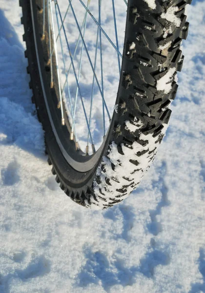 在雪上的自行车轮 — 图库照片