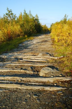 eski ıssız yol