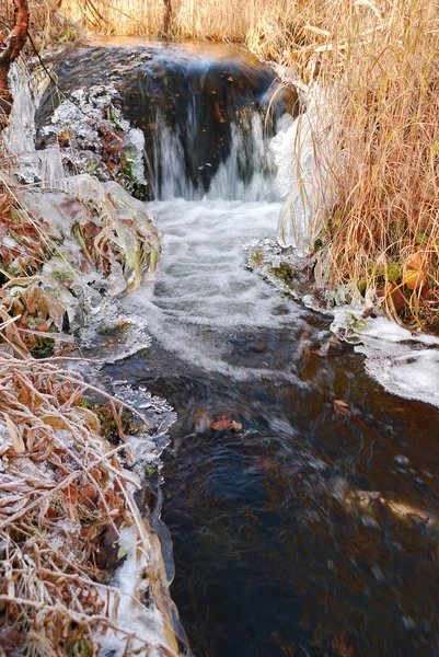 Riacho sem congelação — Fotografia de Stock