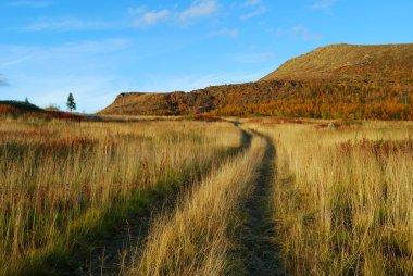 Road through meadow clipart