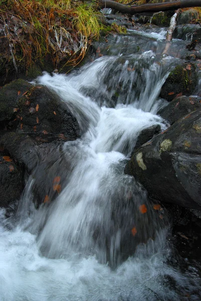 Kleine Wasserfälle — Stockfoto