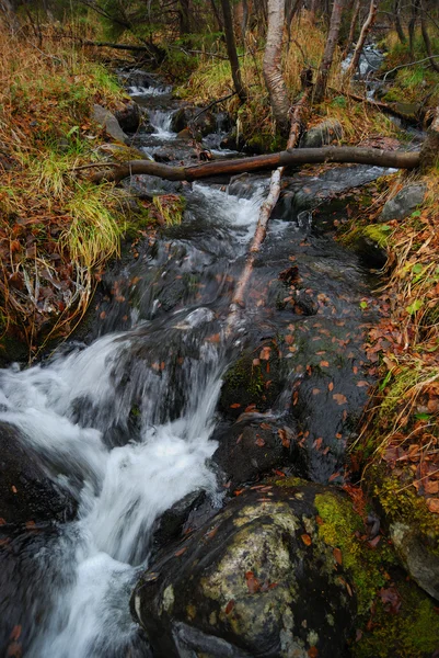 Small waterfalls — Stock Photo, Image