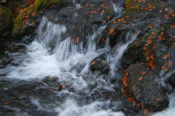Pequenas cachoeiras — Fotografia de Stock