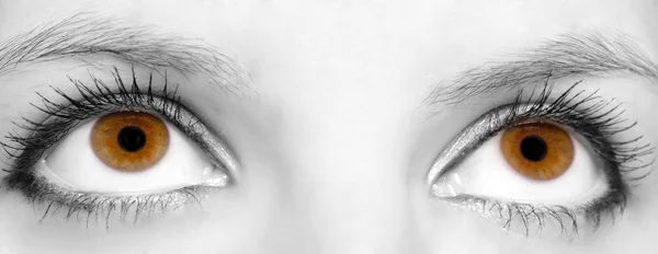 Olhos bonitos — Fotografia de Stock