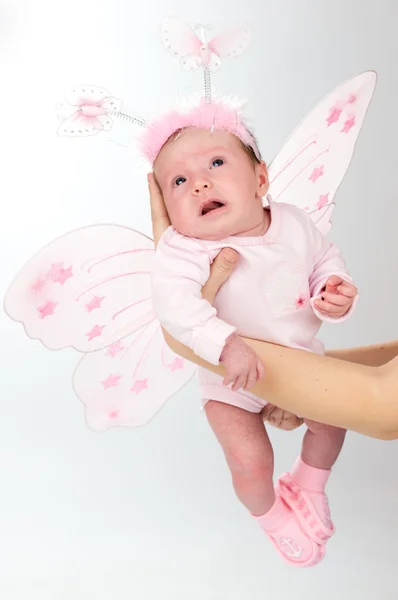 Papillon bébé — Photo