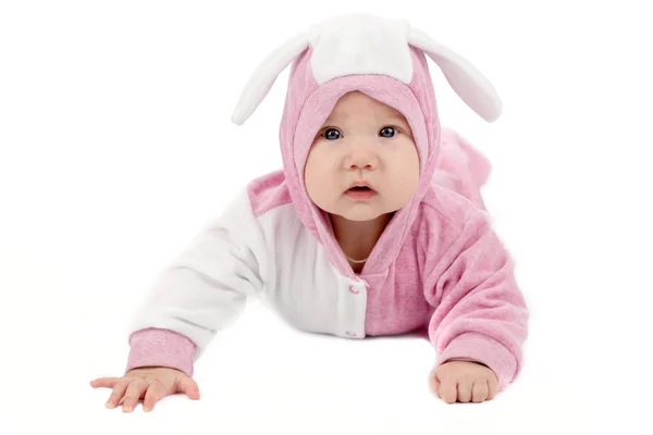 Baby bunny Stock Image