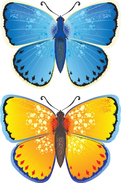 Mariposa amarilla y azul — Vector de stock