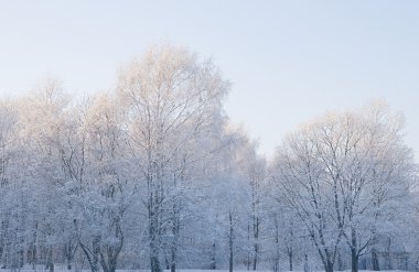 soğuk sabah