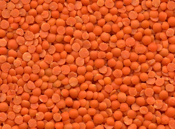 レンズ豆のテクスチャ — ストック写真