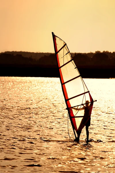 Sunset windsurfing — стокове фото