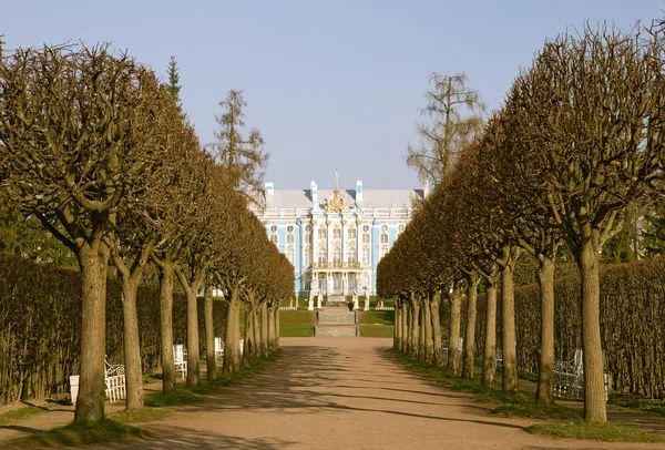 Vista del parque en Pushkin — Foto de Stock