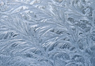 Frozen window clipart