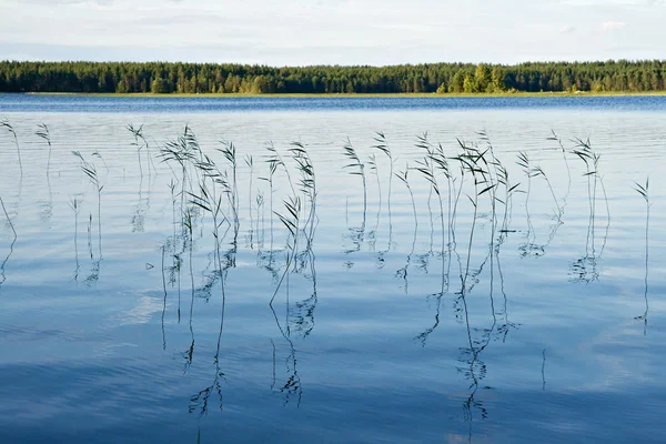 Stock image Blue waters