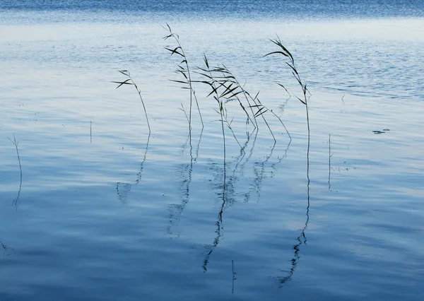 stock image Blue waters