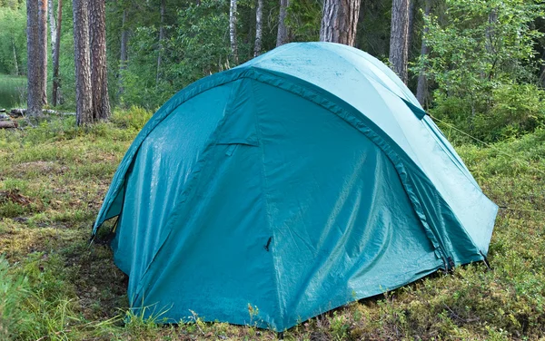 소나무 나무 판자숲에서 텐트 — 스톡 사진