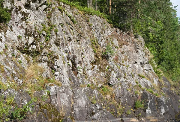 Karelian cliff — Stock Photo, Image