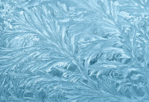 Bevroren venster — Stockfoto