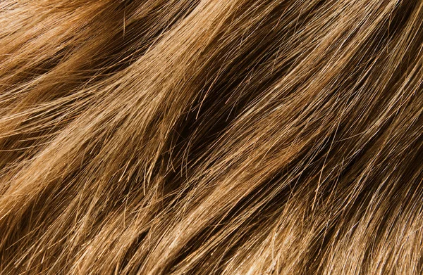 Texture des cheveux — Photo