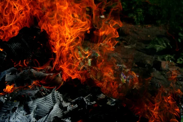 Beautiful fire — Stock Photo, Image