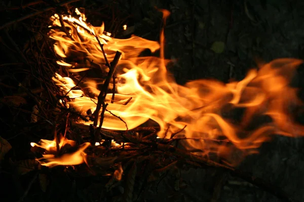 Красивий вогонь — стокове фото
