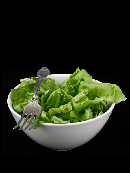 Zöld salátával, fekete — Stock Fotó