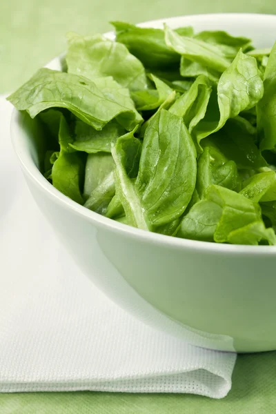 Макро-зеленый салат — стоковое фото