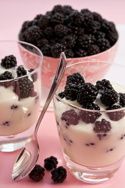 Yogurt with blackberries — Stock Photo, Image