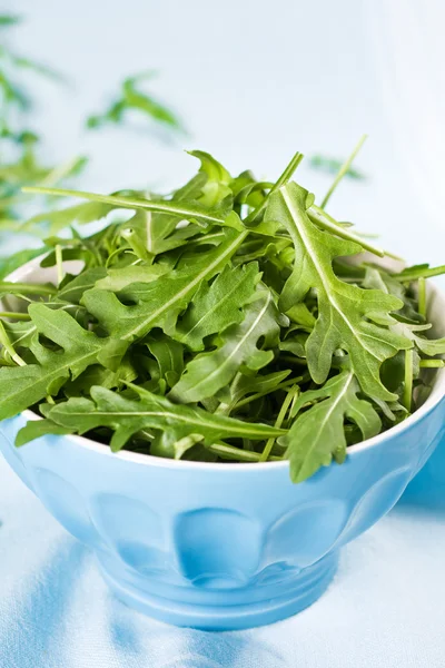Groene salade op blauw — Stockfoto