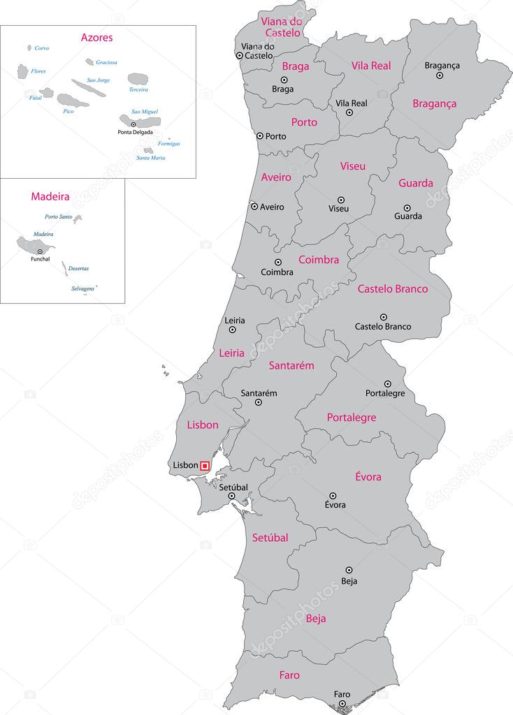 Mapa portugal com regiões e concelhos, distritos Stock Vector