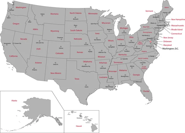 Gris USA carte — Image vectorielle