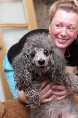 Woman and Silver Dwarf Poodle clipart