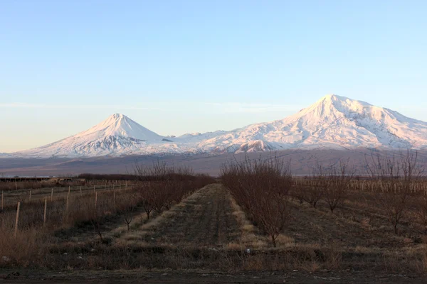 Ararat valley at sunrise — Stock Photo, Image