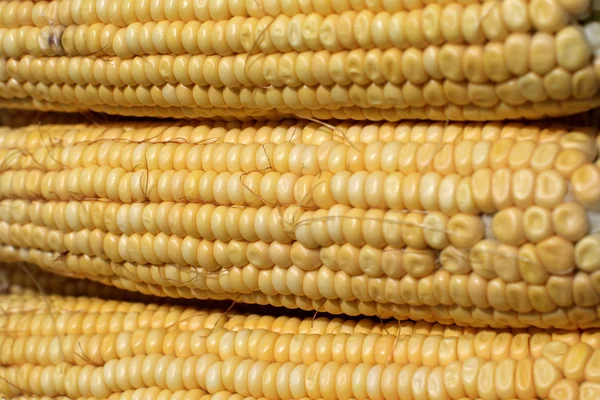 Indian corn — Stock Photo, Image