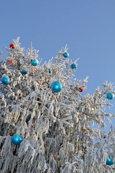 A árvore de Natal — Fotografia de Stock
