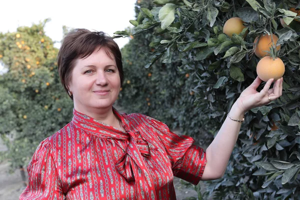 Mature woman in orchard — Stock Photo, Image