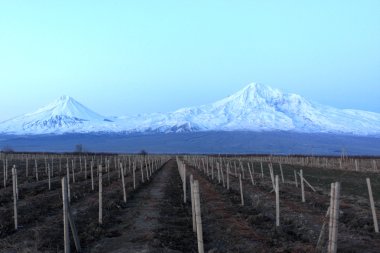 Ararat, gece