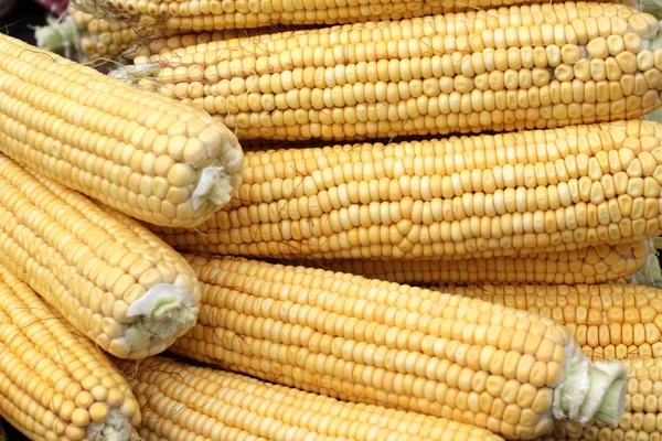 Heap of yelloy indian corn — Stock Photo, Image