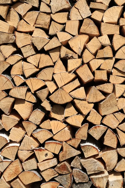 stock image The logs