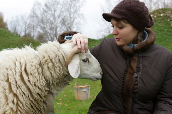Girl speaks with sheep — Stock Photo, Image