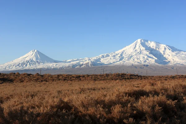 Ararat in the morning — Stock Photo, Image