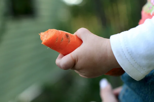 Child holds carrot — Stock Photo, Image
